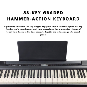Claviers de piano haut de gamme Beisite avec logo personnalisé à vendre, <span class=keywords><strong>clavier</strong></span> MIDI professionnel 88 touches, piano numérique - Product Image 2
