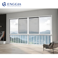 Gran Vista, ventana extra grande, casa de vidrio, piso a techo, tamaño personalizado, ventanas de imagen fija de vidrio