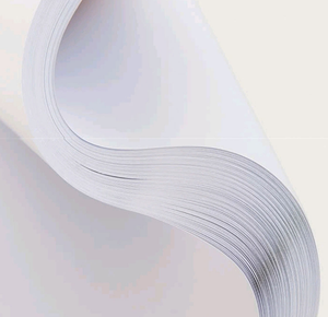 Xuất Khẩu Tự Nhiên Bình Thường Cỡ Chữ Giấy <span class=keywords><strong>A4</strong></span> Trơn - Product Image 2