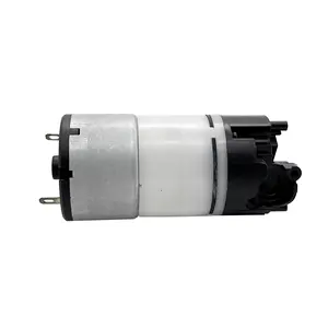 250X Dc Air Pump 3-24V Pump Mini Small Pump DC Diaphragm Circulation for Booster Technology
