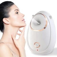 Meilleure vente Machine à vapeur faciale Portable Nano visage humidificateur humidité profonde soins de la peau vapeur