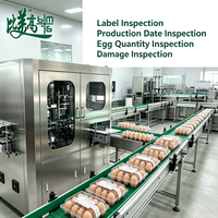 Machine d'inspection visuelle automatique 6 faces pour la détection des défauts d'étiquetage et d'apparence des boîtes à œufs avec vision IA