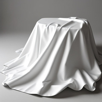 Vente en gros de draps de lit modernes en microfibre OEKO-TEX, ensemble de drap-housse et taie d'oreiller tissés doux et respirants