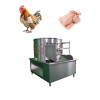 Máquina de matanza y desplumado de pollos de gran oferta con eliminación automática de plumas con bomba y cojinete de componentes centrales