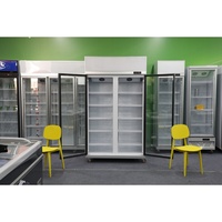 Réfrigérateur à compresseur vertical à 2 portes, avec compartiments profonds différents, pour boissons et bières, vitrine réfrigérée