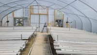 Grande serre tunnel commerciale à travée unique avec structure en acier galvanisé à chaud et couverture en PE – Ensemble complet