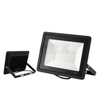 Projecteur LED ultra-lumineux 50W IP66 étanche en forme de pomme pour extérieur, large plage de tension, pour jardin et aménagement paysager