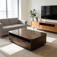 Table Basse de Luxe Moderne en Marbre Naturel Marron Foncé avec Tiroirs, Meuble de Salon, Ensemble de Tables Basses à Grands Socles
