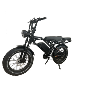 Vélo à pneus larges de 20 pouces, design personnalisé, moteur à disque mécanique 250W/48V/12Ah - Product Image 1