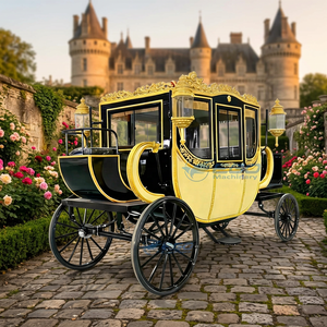 Carruaje Real Tirado por Caballos, Amarillo y Negro, Sin Motor, de Alta Calidad, Personalizable, para Turismo al Aire Libre, Suministro de Fábrica - Product Image 1