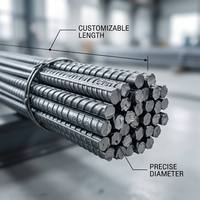 Varilla de Acero Deformada Anticorrosiva CT para Refuerzo de Hormigón, para Construcción Marítima y Costera, Precio de Fábrica