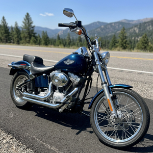 Prêt à rouler - Moto Davidson Softail Standard 100th Anniversary Edition 2003 - Product Image 3