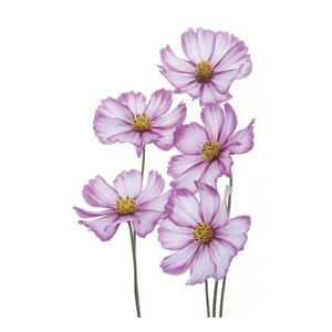 <span class=keywords><strong>Aquarelle</strong></span> Lavande Fleur Tatouages Temporaires Pour Femmes Corps Art Bras Faux Flore Adultes <span class=keywords><strong>Tatouage</strong></span> Autocollant - Product Image 4