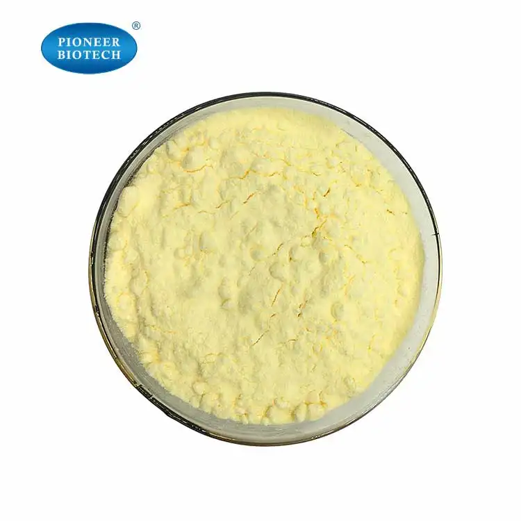 High Quality 40% Silymarin Powder Silybum Marianum/ Milk Thistle Extract