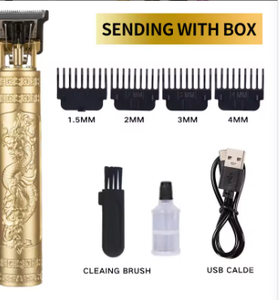 Tondeuse à cheveux professionnelle T9 pour homme, en acier inoxydable, rechargeable par USB, pour hôtel et camping-car - Product Image 1