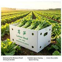 Caisse pliable écologique en carton ondulé pour tête de laitue, imprimée en couleur, en PP, pour produits agricoles en gros