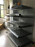 Cage à poulet 3 couches en fil Durable, pliable, pour bébés, convient aux poules