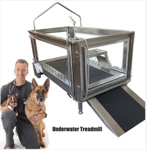 YS-C480K Veterinary Canine Hydrotherapy <strong>Dog</strong> Underwater Water Treadmill with Walking <strong>Ramps</strong> - Product Image 1