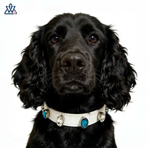 Collier pour animaux de compagnie en strass, réglable, en cuir PU noir, style luxueux pour petits chiens et chats - Product Image 2