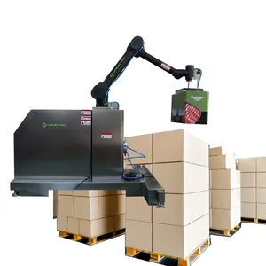 Línea de embalaje de cajas Robot de paletización de brazo de carga robótico pequeño de bajo costo