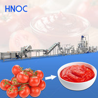 HNOC Industriële Tomatensausmachine Ketchup Productielijn Kleine Tomatenpuree Installatie China