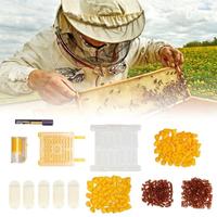 Kit de caja de cría de reina de apicultura, jaula de plástico para marcar abejas, tazas de celda, jaula de gelatina real para abejas