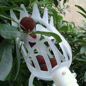 Herramienta de cesta de cosecha de jardín de plástico, recogedor de fruta de árbol con cabeza de limón y naranja - Product Image 4
