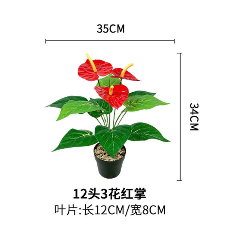 12 têtes, 3 fleurs, Anthurium (pot non inclus)