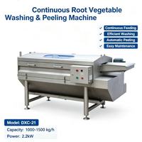 DXC-21 Continue Wortelgroentewas- en Schilmachine SUS304 RVS Aardappel Gember Wortel Verwerkingsapparatuur