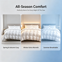 ChamXue couette couette en duvet d'oie classe hôtel écologique couette d'hiver en duvet d'oie blanche couette en plumes de canard douce et confortable