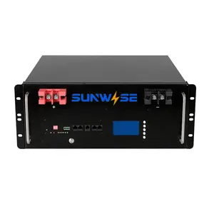 51.2V 16S BMS 프리즘 A 솔라 인버터 배터리 100Ah 120Ah 200Ah 300Ah LiFePO4 팩 배터리 48V 리튬 이온 인산염 배터리