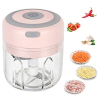 250ML Elektrische Mini Knoflookhakker Roestvrijstalen Voedselverwerker voor Fruit Groenten Vlees Salade Grinder Stamper Snijder
