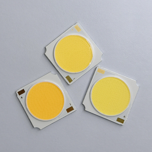 LED COB <span class=keywords><strong>1919</strong></span> Puissance LED 12W 18W 24W 25W 30W 36W 42W 48W 50W Puissance élevée Puces LED 20v <span class=keywords><strong>1919</strong></span> Diode LED COB pour éclairage intérieur - Product Image 4