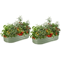 Kit de jardinière surélevée en métal galvanisé 4x2x1 pieds (2 unités) – Résistant aux intempéries et à la rouille, conception à fond ouvert, forme ovale, pour légumes et fleurs