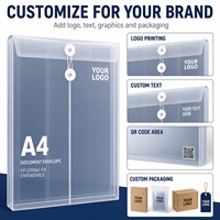 Carpeta de Archivos Expandible Transparente A4 de PP/PVC con Cierre de Cordón, Personalizable con Logotipo, Color y Tamaño