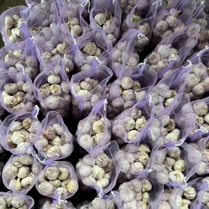 Ajo recién cosechado de China, vendido directamente por un exportador experimentado de ajo fresco de China, precio mayorista de ajo fresco, precio bajo, ajo - Product Image 1