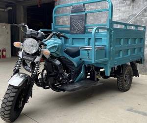 Triciclo <span class=keywords><strong>de</strong></span> <span class=keywords><strong>Carga</strong></span>, Motocicleta <span class=keywords><strong>de</strong></span> <span class=keywords><strong>Tres</strong></span> <span class=keywords><strong>Ruedas</strong></span>, Motocicleta <span class=keywords><strong>de</strong></span> Gasolina - Product Image 5