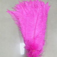 60-65cm grande taille carnaval Costume plume d'autruche en différentes couleurs plume d'autruche plumes teint plume d'autruche