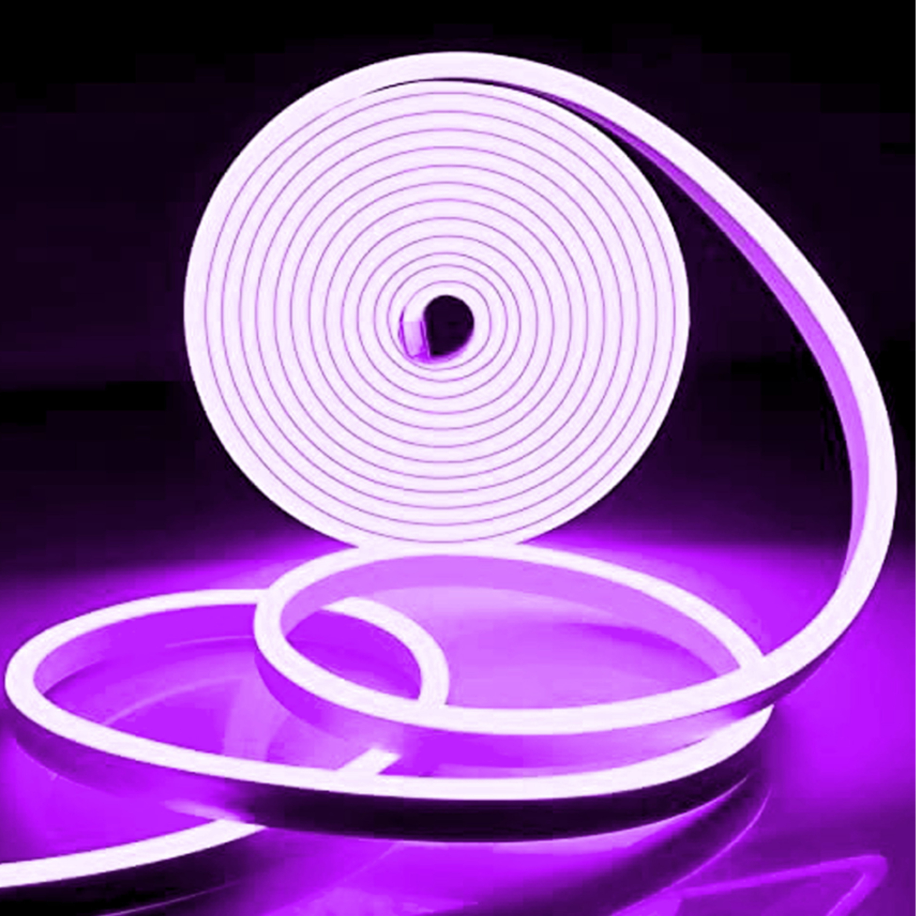 Pourpre