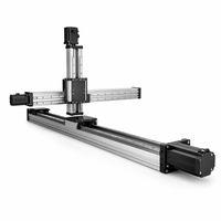 Robot CNC de 3 Ejes XYZ de Doble Riel Reforzado con Rodamientos de Acero de 120 mm, Precisión de 0.05 mm, Tornillo de Bolas C7 para Automatización Industrial