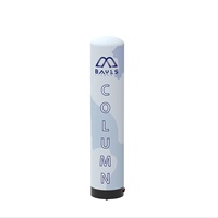 Arche gonflable 3D pour événements sportifs et expositions, piliers colonnes personnalisables, couleurs et logo sur mesure, taille 10-12 pieds, résistante aux intempéries