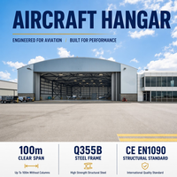 Hangar de Aviones Estándar AISC, Estructura de Acero, Proyecto de Hangar para Aeropuerto, Diseño de Gran Envergadura