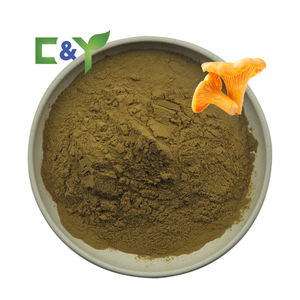 Extracto de <span class=keywords><strong>Cantharellus</strong></span> <span class=keywords><strong>Cibarius</strong></span> Suministrado por Fábrica, Polvo de Extracto de <span class=keywords><strong>Cantharellus</strong></span> <span class=keywords><strong>Cibarius</strong></span> Fr, Polisacárido 10%-30% UV - Product Image 1