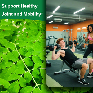 קפסולות עלי מורינגה של OLLI OEM, תוסף תזונה לבריאות העור והמעיים, עם תמיכה אנרגטית נוגדת חמצון, חיזוק מערכת החיסון, בטוח. - Product Image 5