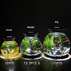 <span class=keywords><strong>Vaso</strong></span> <span class=keywords><strong>in</strong></span> Vetro Borosilicato Fatto a Mano con Muschio Bianco Colorato e Pianta Succulenta, Terrario <span class=keywords><strong>in</strong></span> Vetro con Coperchio <span class=keywords><strong>in</strong></span> Sughero - Product Image 3