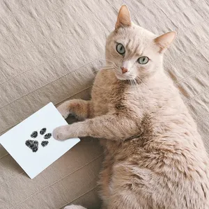 도매 애완 동물 발 인쇄 스탬프 패드 개 고양이 발자국 손자국 잉크 패드