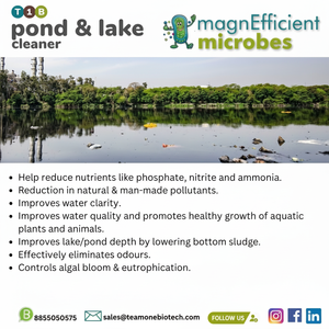 Purificador de agua de estanque de acción rápida para eliminar olores - Product Image 1