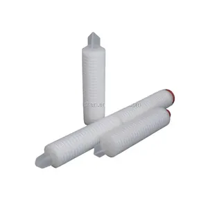 0.1 dan 0.2 PES membran filter cartridge refill 10 filter Air cartridge
