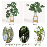 Support de plante de jardin vert en gros pour plantes en pot d'intérieur et d'extérieur, cage pour pivoine, tomate, hortensia, piquets de jardin