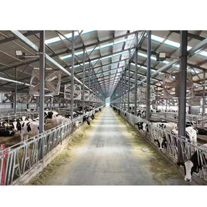 Prefab geconstrueerde pluimveestal voor vleeskuikens, stalen constructies - Product Image 1